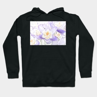 Crocus sieberi subsp. sublimis  Three-coloured Sieber's crocus Photo with artistic filter applied Hoodie